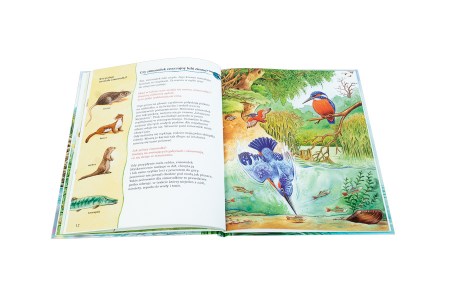 9788381446631 (5 of 6)7